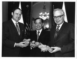 ["Black and white photograph print of Carl Albert, James R. McClure, and Congressman George V. Hansen from Idaho holding potatoes."]