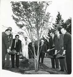 ["Black and white photograph print of Carl Albert, A. S. Mike Monroney, Fred Harris, Jed Johnson, Jr., Ed Edmondson, Tom Steed, Kerr brothers, and Robert S. Kerr, Jr., at the Kerr Memorial Tree dedication."]