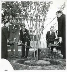 ["Black and white photograph print of Carl Albert, A. S. Mike Monroney, Fred Harris, Jed Johnson, Jr., Ed Edmondson, and Robert S. Kerr, Jr. at the Kerr Memorial Tree dedication."]