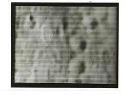 ["Black and white photograph of Moon taken by Orbiter I. August 18,1966."]