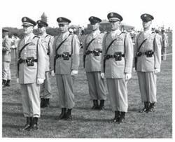 ["Black and white photograph of a retreat review honoring Army veterans in Congress. June 12, 1960.  Several unidentified military officers in uniform and in formation pictured."]