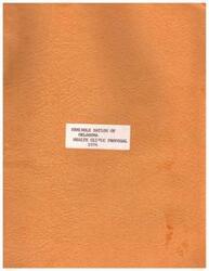 ["The Seminole Nation of Oklahoma proposed the construction of a health clinic in Wewoka to serve the Indian people in the area. The lack of medical facilities in the Seminole Nation, language barriers, and transportation issues were identified as major problems. The hypothesis was that increasing health education would lead to more patients seeking care, putting a strain on existing facilities. Establishing a clinic in Wewoka was seen as a step towards addressing the health needs of the Seminole Tribe."]