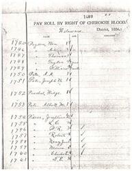 ["The document contains a list of names, ages, and other details of individuals with Cherokee blood in the Delaware District in 1886. It also includes information about a delayed certificate of birth for a child named Albert Burris, born in 1912, including details about the parents, birth date, and other information. The document also includes affidavits and certifications related to the birth certificate."]