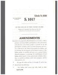 ["This text is about proposed amendments by Mr. Hathaway to a bill (S. 1017) aimed at promoting maximum Indian participation in government and education, providing for the participation of Indian tribes in federal programs, and encouraging the development of human resources of the Indian people. The proposed amendments include redefining \"Indian tribe\" and making changes to the bill's language."]