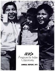 ["The American Indian Organization (AIO) is a national Indian non-profit organization that works to improve the lives of Native Americans. AIO believes that Native Americans are entitled to a fair share of opportunities and equality, while still retaining the right to be different. The organization works to improve attitudes among Indians and non-Indians, to strike down stereotypes, and to build upon the proud heritage of Native Americans."]