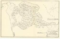 ["The document represents a plan item is a plan of 118 lots for the home sites area Mill Creek, which is located on the southern coast of Lake Texoma. Lots (land; diazotype, blackline print); 10 1/2 x 16 3/16 inches; R-V22-4/5.2."]