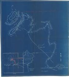 ["Blueprint: This document illustrates the elevation, topography, and planned developments for the National Forest and Preserve. Dimensions: 36 x 40 1/4."]