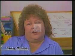 ["The political advertisement highlights the story of Sandy Cordoba, whose daughter was kidnapped by her husband and taken to South America. It emphasizes the support provided by Congressman Chaney, who helped enact laws against child abduction and assisted Cordoba in reuniting with her daughter after the kidnapper's death."]