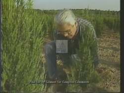 ["The 1988 political TV ad for Democratic presidential candidate Thomas Odell Gilmore features him speaking in various lush, tree-filled settings, symbolizing his commitment to environmental stewardship and legislative reform. Gilmore passionately discusses his achievements and plans, emphasizing responsible policies in education, budget, and environmental conservation, portraying a future-focused and determined image."]