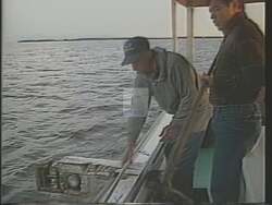["In his 1988 political TV ad, Democratic Party candidate Roy Dyson highlights his commitment to environmental issues. The ad features repetitive scenes of him engaging earnestly with local watermen at dawn along the Chesapeake Bay. Interspersed throughout, Dyson discusses the importance of cleanup and conservation, emphasizing his ongoing legislative efforts and active community involvement in safeguarding the environment."]