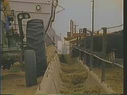 ["In his 1988 campaign ad, Byron Leslie Dorgan addresses unfair international trade practices, emphasizing the importance of equal market access for American producers. Throughout the ad, Dorgan is seen speaking energetically at various locations, advocating for fair trade policies that support local farmers and American businesses. The backdrop includes scenes with American flags, enhancing the patriotic appeal of his message."]