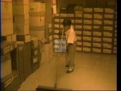 ["In the 1994 presidential campaign ad for Democratic Party candidate Stuart Price, the ad effectively portrays him as humble and relatable, focusing on his conservative, values-driven approach and highlighting his origins and emphasis on hard work, family, and fiscal conservatism. Scenes transition between Price speaking directly to viewers and addressing supportive crowds, underscoring his sincere dedication to these principles."]