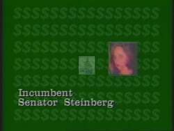 ["The political advertisement criticizes Senator Steinberg for her spending decisions in Georgia, highlighting her votes for increased spending, higher personal benefits, and tax hikes. It positions John Linder as a preferable conservative alternative, suggesting a change from the incumbent liberal practices."]