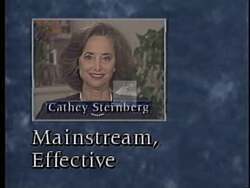 ["The political advertisement promotes Cathy Steinberg as a mainstream and effective congressional candidate, highlighting her legislative successes in Georgia and her beliefs in limited government and a woman's right to choose. It contrasts her with John Linder, portraying him as extreme, ineffective, and supportive of government making choices for women."]