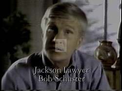 ["The 1994 political ad for Jon Herschler���������s presidential campaign features controversial lawyer Bob Schuster advocating for his congressional run. Displayed as wealthy and under investigation, Schuster appears in various settings, from rallies to formal speeches, promoting legal reforms and responding to criticisms. Despite controversies, he emphasizes integrity and accountability in his campaign."]