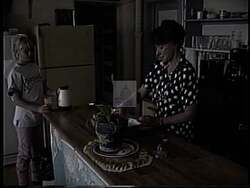 ["In a 1994 political ad, Sandy Cummins, owner of a bed and breakfast in Lamont, endorses Republican candidate Rob Wallace, emphasizing the necessity of political support for small towns facing neglect. The ad showcases Sandy's emotional journey, from worry to hope, through scenes depicting her interactions with Wallace and visual cues highlighting community challenges."]