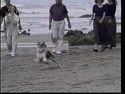 ["In his 1994 political TV ad, Walter H. Capps, a Democratic Congressional candidate, emphasizes values-based governance and family values. With scenes set against idyllic Santa Barbara backdrops, Capps presents himself as a dedicated community advocate. The ad features Capps addressing the camera in various settings, underscoring his commitment to family and democratic values."]