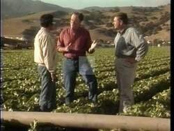 ["In his 1994 presidential campaign ad, Democrat Sam Farr emphasizes his dedication to sustainable water practices. He confidently presents various water reclamation solutions across agricultural settings, exemplifying leadership. He focuses on innovative irrigation systems, groundwater issues, wastewater recycling, and reclamation projects in community and field settings to address environmental challenges."]