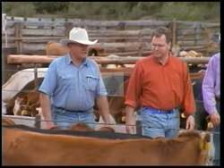 ["In the 1996 political TV ad, Republican candidate Bob Schaffer is depicted as a confident, trustworthy leader deeply rooted in Colorado values. Addressing crowds and interacting warmly with his family against scenic backdrops, Schaffer portrays his commitment to leadership, family values, and community, appealing to traditional and grassroots supporters."]