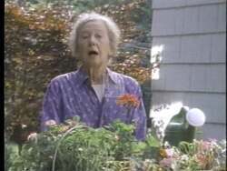 ["In the 1996 TV ad for John McHugh's presidential campaign, various scenes depict elderly individuals concerned about Medicare's future. The ad emphasizes McHugh's commitment to preserving and enhancing Medicare, highlighting his supportive plans that promise increased benefits and freedom for seniors to choose their doctors, instilling hope among viewers."]