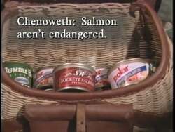 ["The 1996 political TV ad for Democratic candidate Dan Williams critiques his opponent Helen Chenoweths stance on fishing policies by depicting barren riverbeds and abandoned fishing gear in Idaho. Through stark, desolate imagery, the ad emphasizes the bleak future of Idahos fishing industry under current policies, portraying environmental neglect and potential economic despair."]
