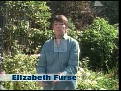 ["In her 1996 presidential campaign ad, Democratic candidate Elizabeth Furse passionately advocates for education affordability. Throughout various scenes, she addresses town hall meetings and public speeches, emphasizing her opposition to cuts in college loans and tuition. Furse consistently positions herself as a staunch supporter of educational funding reforms and policies, ensuring ample opportunities for all students."]