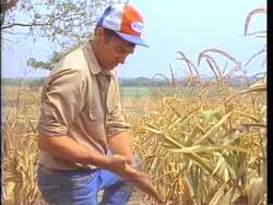 ["In his 1988 campaign ad, Democratic candidate Tim Johnson highlights his dedication to addressing agricultural challenges, passionately advocating for drought relief and farm aid in Congress. The ad features Johnson in multiple settings, actively engaging in legislative discussions, and drafting a significant farm aid bill, underlining his commitment to supporting family farmers during a severe drought crisis."]
