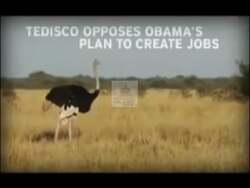 ["In a 2009 political TV ad, Jim Tedisco appears in a dimly lit room looking concerned and serious, reflecting opposition to Obama's economic plan. The ad emphasizes his stance with promotional texts, suggesting a defensive posture against the current presidential policies, aimed at rallying support from viewers who are skeptical of the administration's approach."]