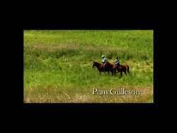 ["In her 2012 TV ad, Democratic candidate Pam Gulleson showcased her deep connection to North Dakota's farming roots. With scenes of her family actively farming and standing united, Gulleson emphasized strong family and community values. Her message focused on teamwork, tradition, and dedication, reflective of her campaign's focus on local unity and a strong work ethic."]